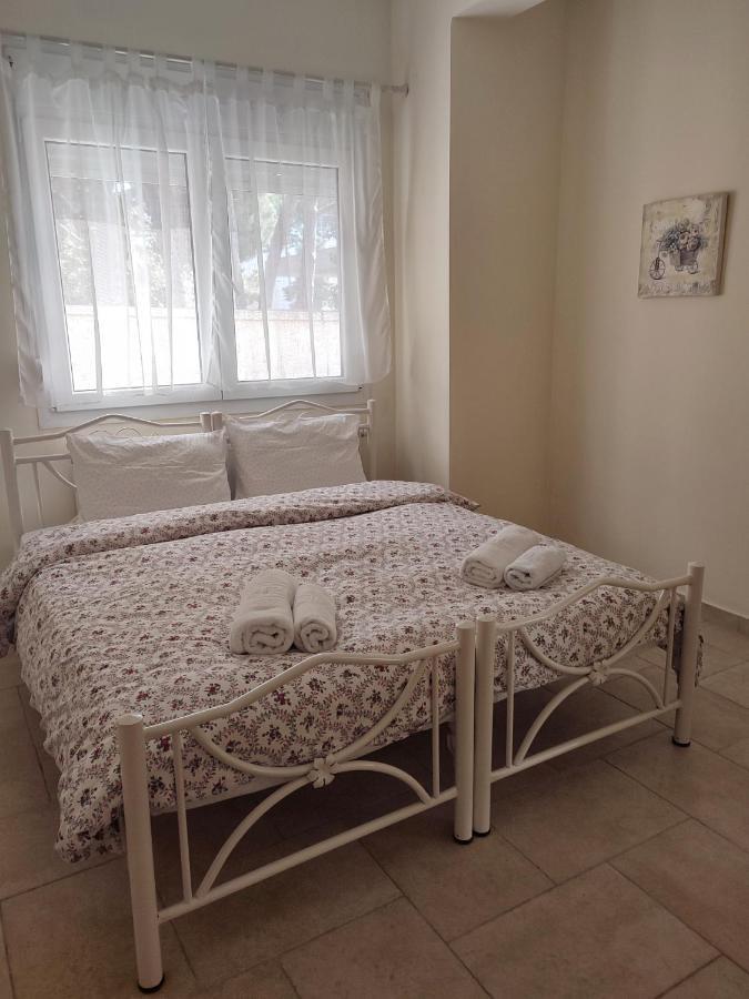 Villa Vasiliki PalaiónTsiflíkion Eksteriør bilde